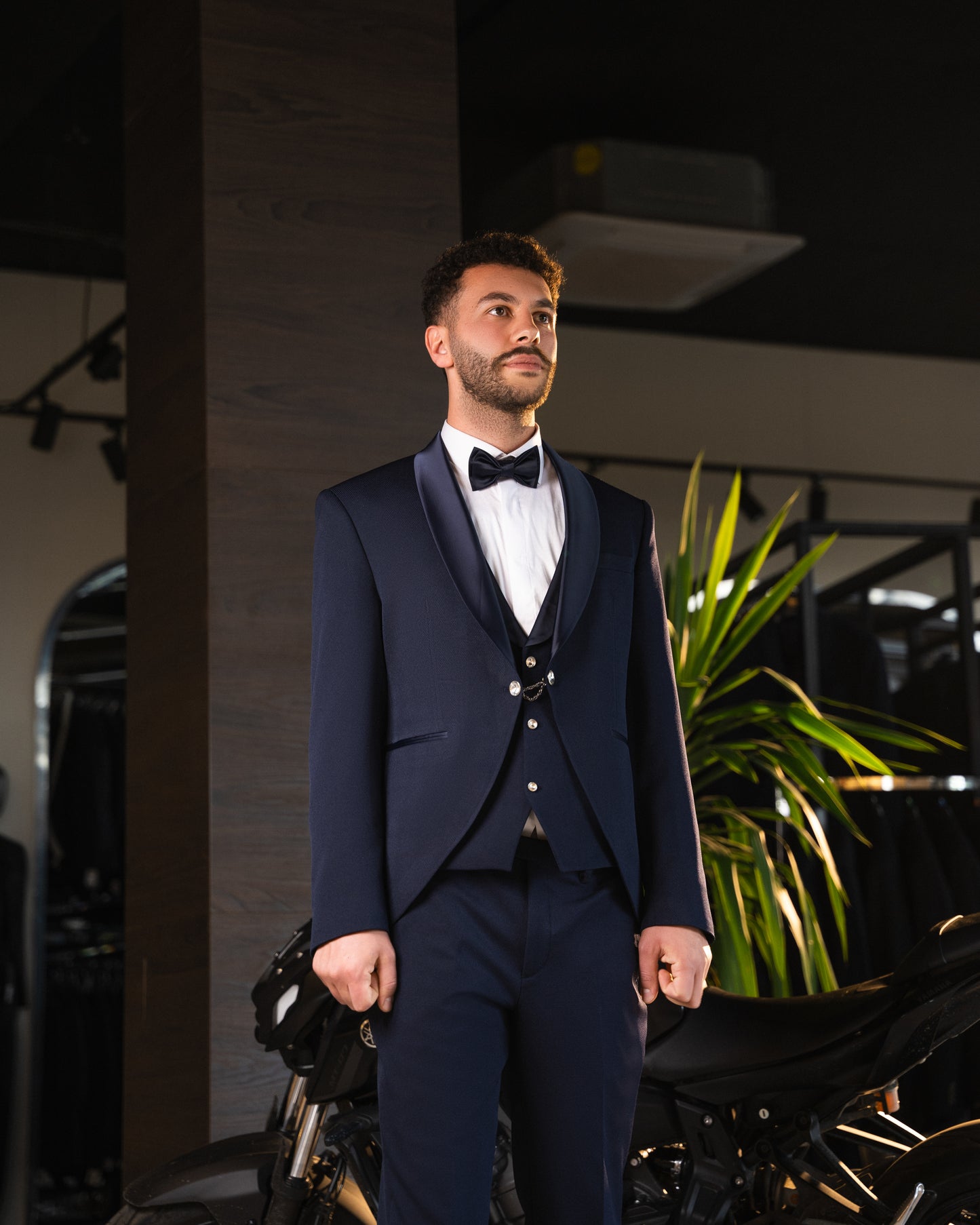 Twilight tuxedo