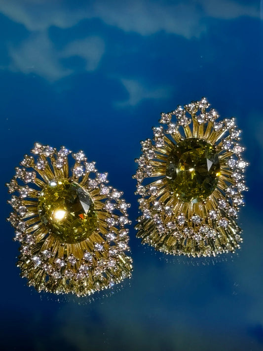 Sparkly Earrings