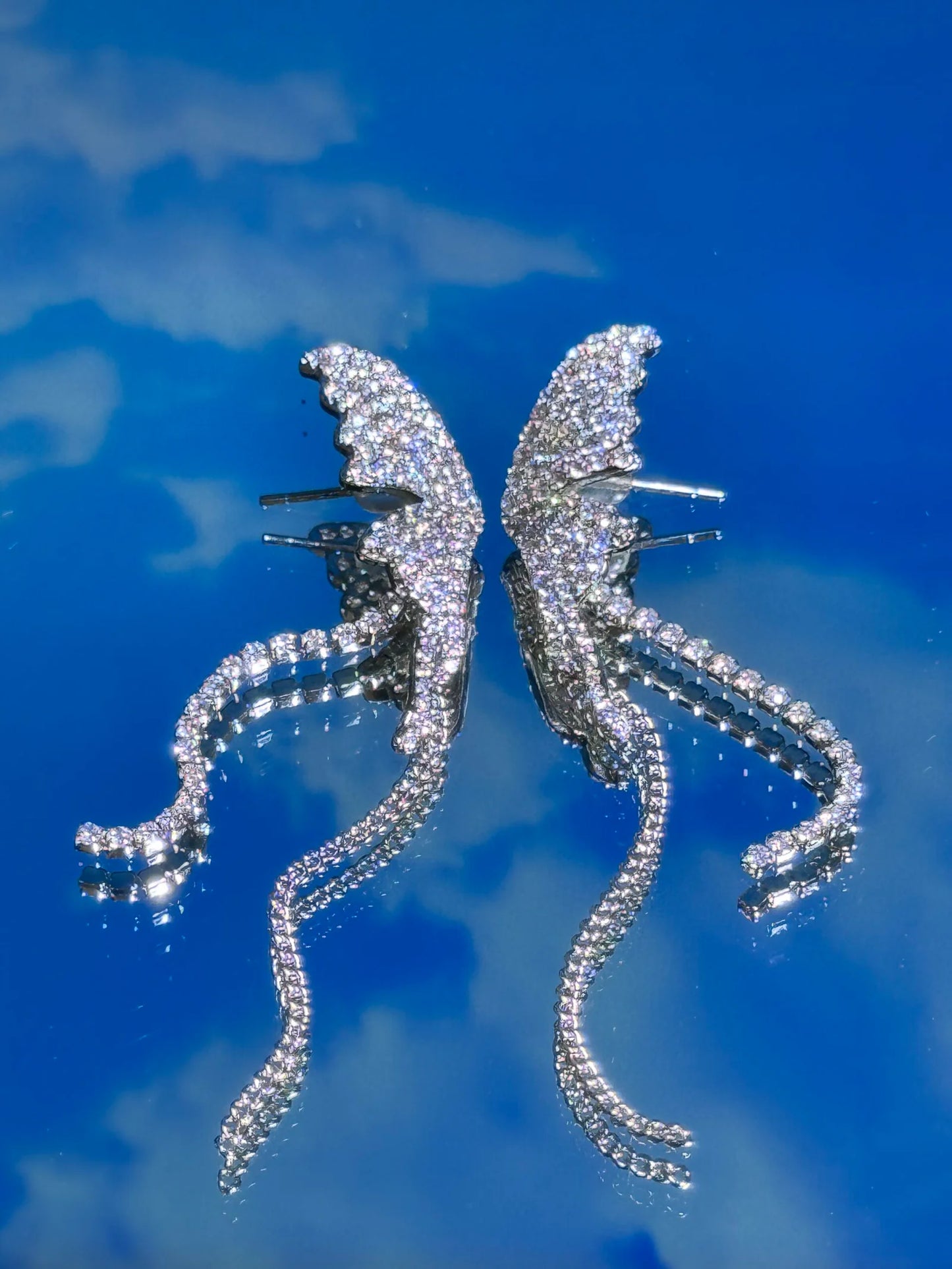 Butterfly Wings Earrings